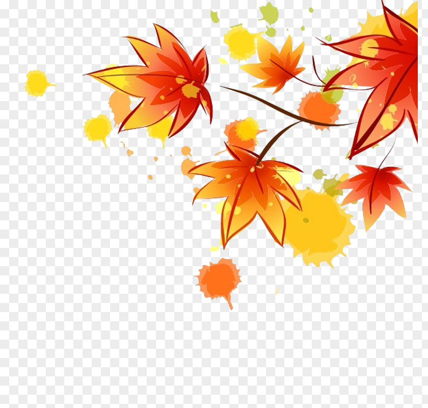 Autumn Leaves Maple Leaf Download PNG