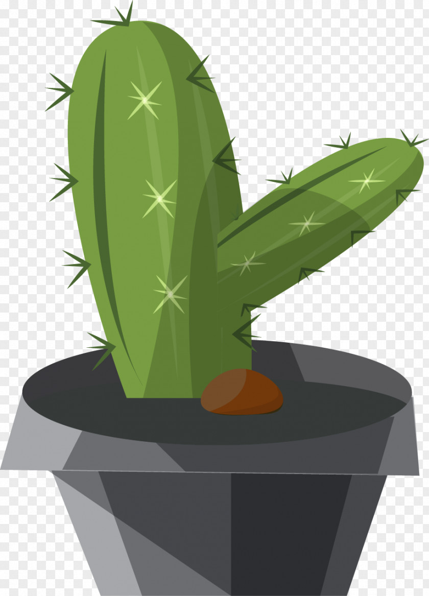 Exquisite Cartoon Cactus Cactaceae Illustration PNG