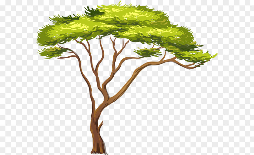 Africa African Trees Clip Art PNG