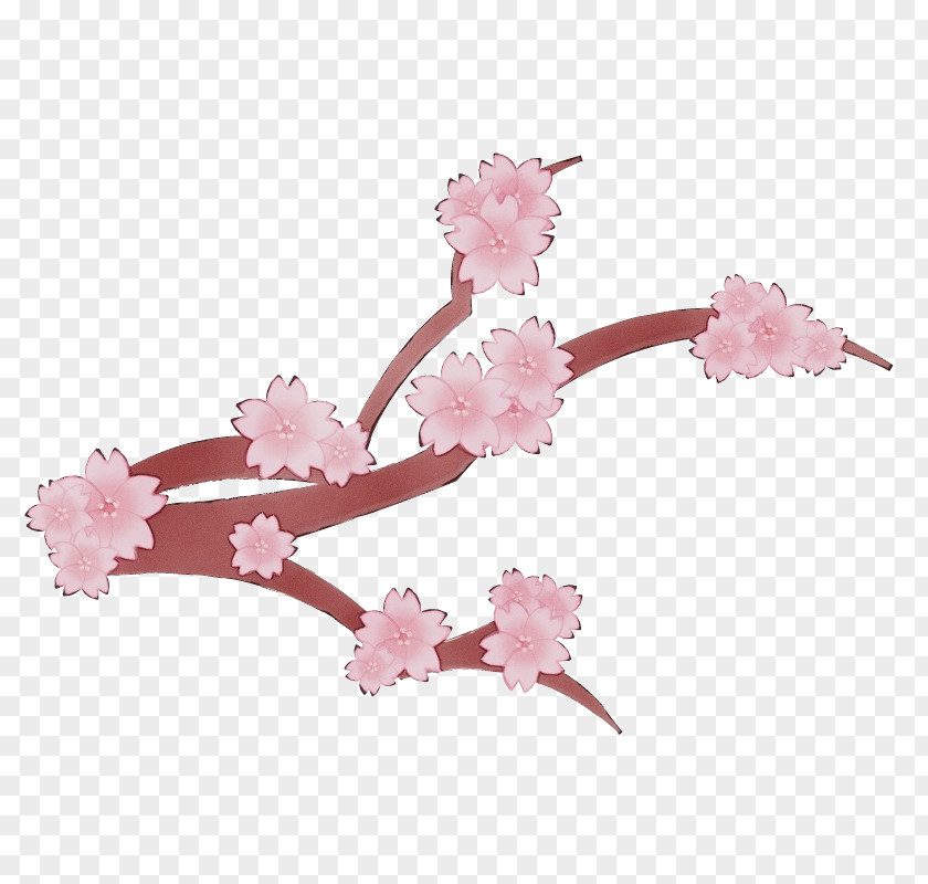 Prunus Twig Cherry Blossom PNG