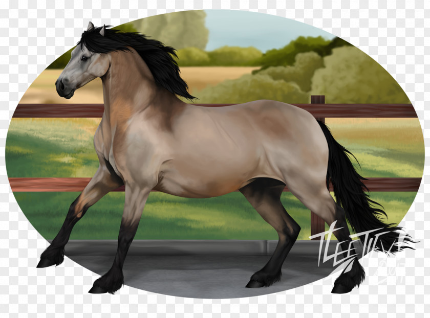 Realism Horse Digital Art Painting Drawing PNG