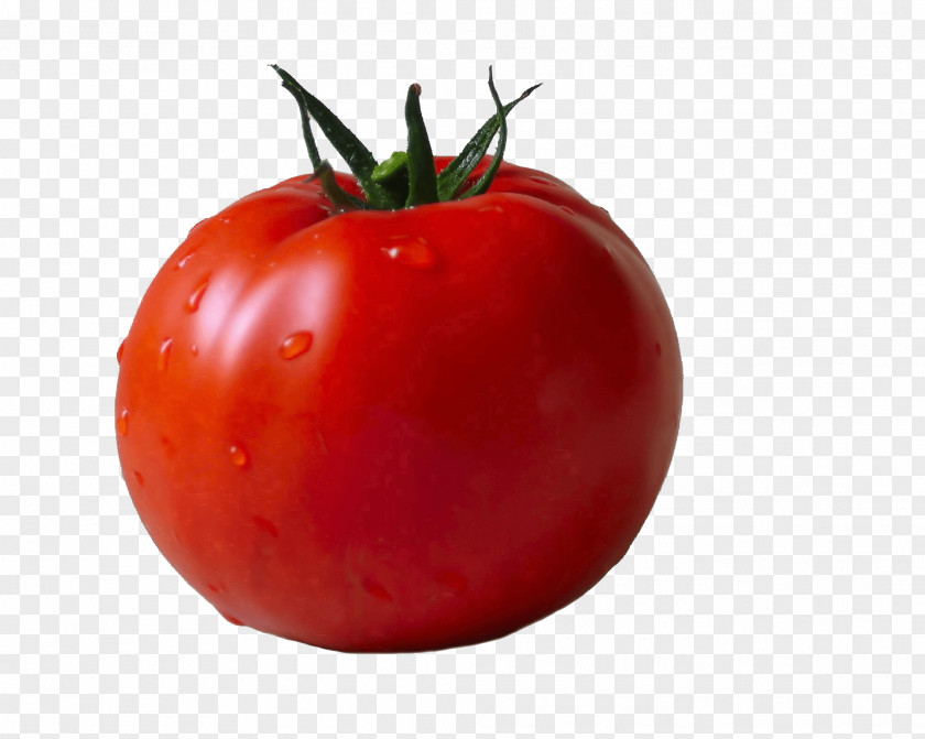 Tomato Image Cherry Vegetable PNG