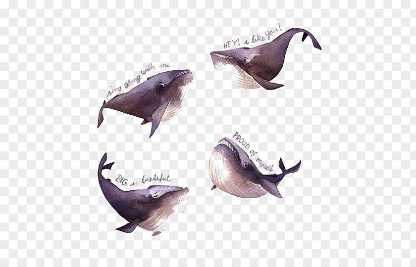 Watercolor Whale Painting Illustrator Iraville Pencil Illustration PNG