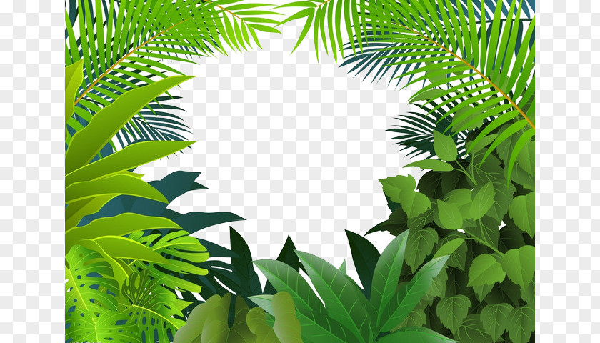 Yin Green Grass Tropical Rainforest Jungle Tropics Clip Art PNG