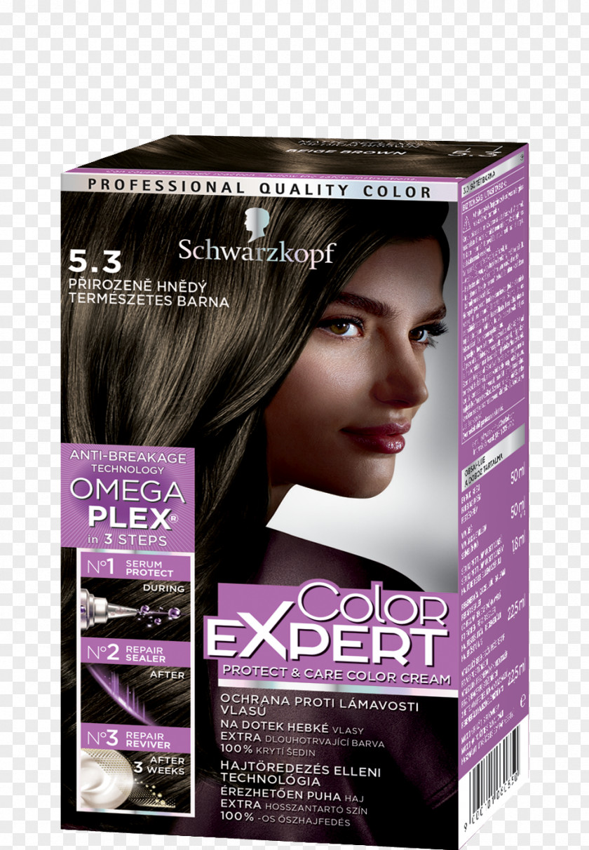 Beige Color Hair Coloring Black Human Schwarzkopf L'Oréal PNG