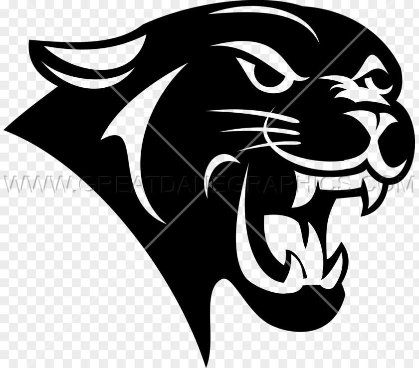 Black Panther Drawing PNG