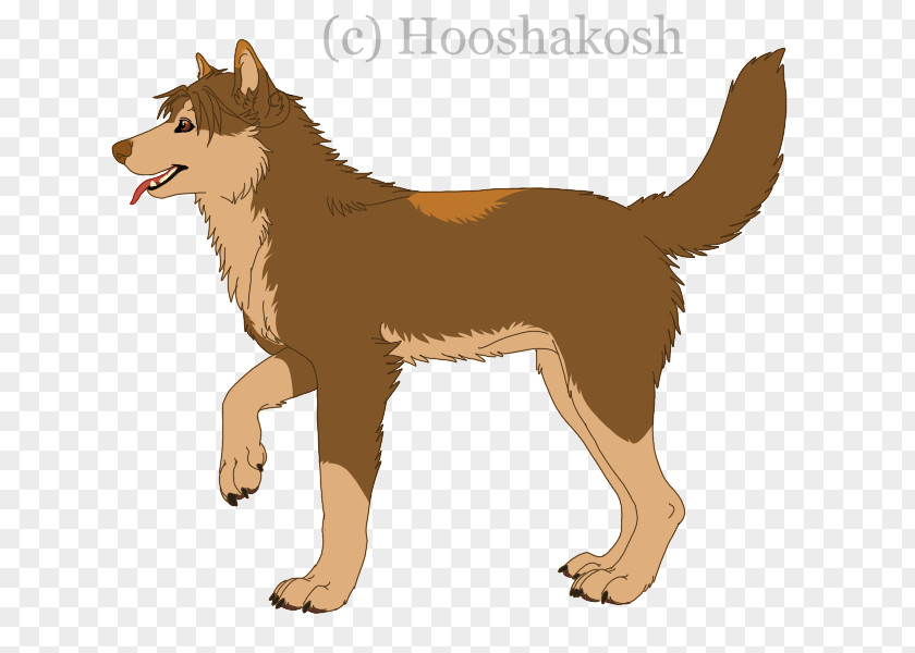 Realism Finnish Spitz Dhole Italian Wolf Canidae Art PNG