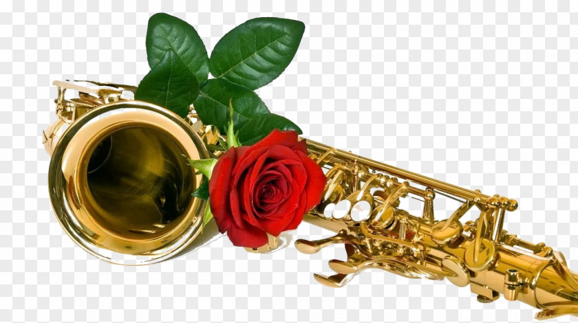 Saxophone Baritone Clarinet Reed Alto PNG