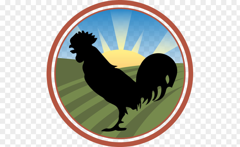 Chicken Fried Rooster Hen Poultry PNG