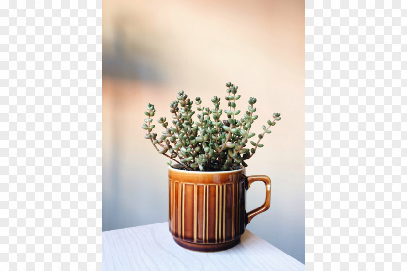 Cup Coffee Ceramic Flowerpot PNG