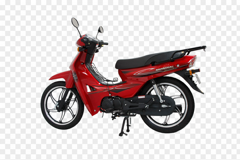 Cup Model Electric Motorcycles And Scooters Motorcycle Accessories Mondial PNG