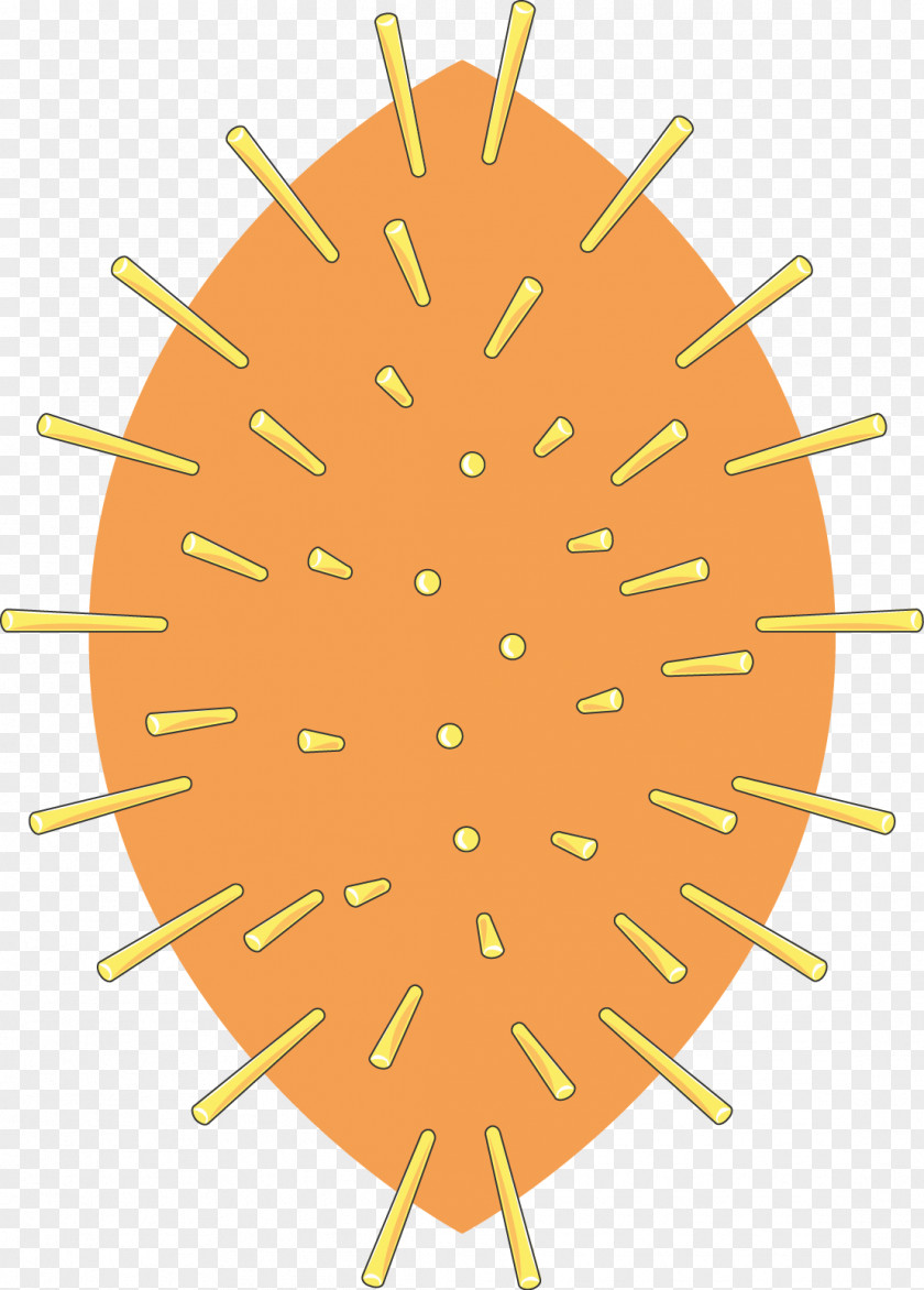 Cyprinid Herpesvirus 3 Ornament Light Art PNG