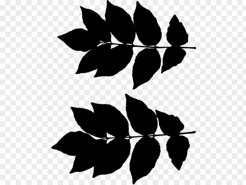 Flower Leaf Plant Stem Pattern Clip Art PNG