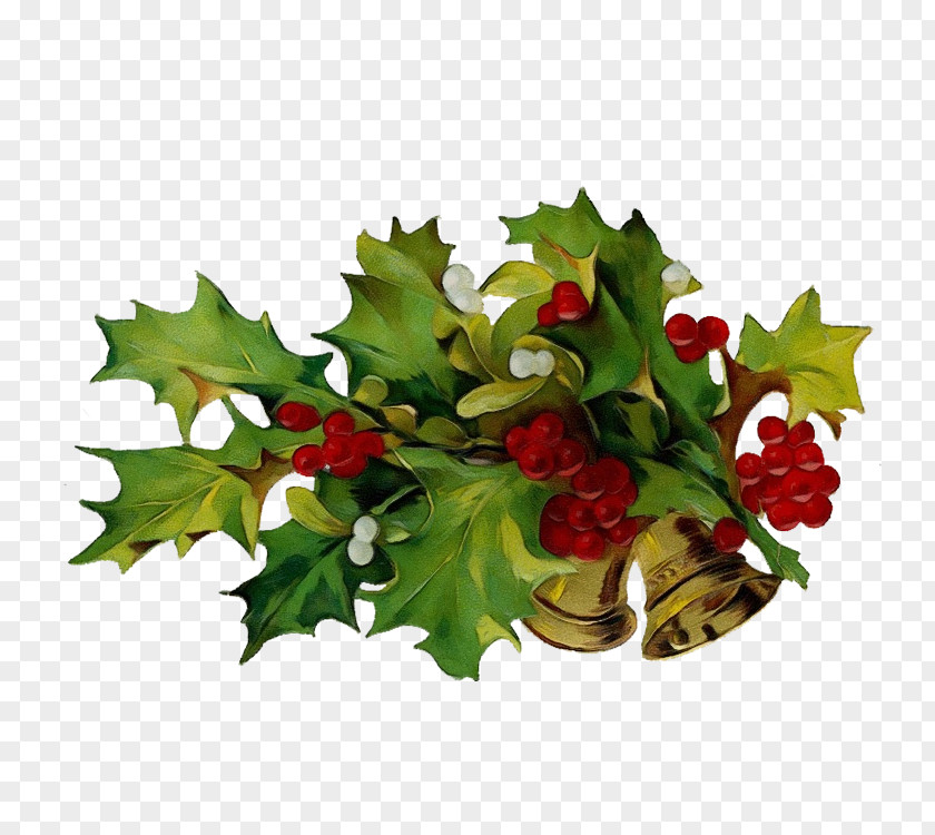 Hawthorn Tree Holly PNG