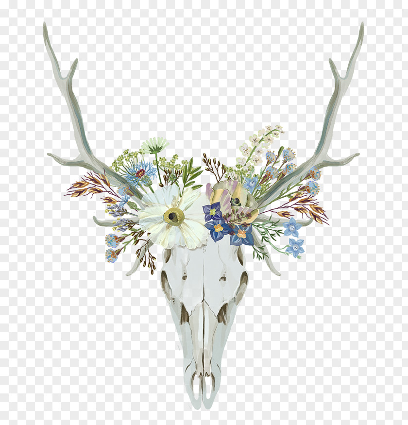 Night Sky Fireflies Grass Background Red Deer Antler Reindeer White-tailed PNG