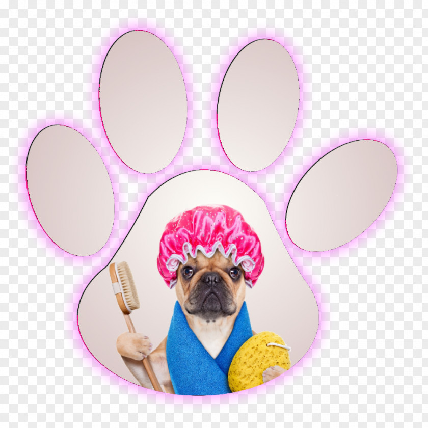 Puppy Dog Grooming Cat French Bulldog Cockapoo PNG