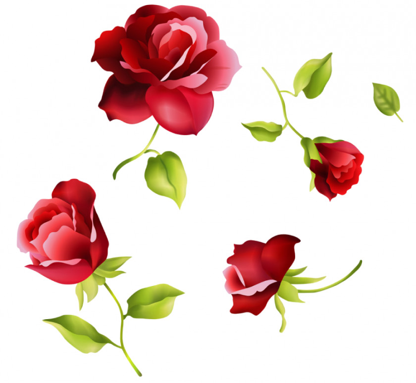 Valentine's Day Beach Rose Gift PNG