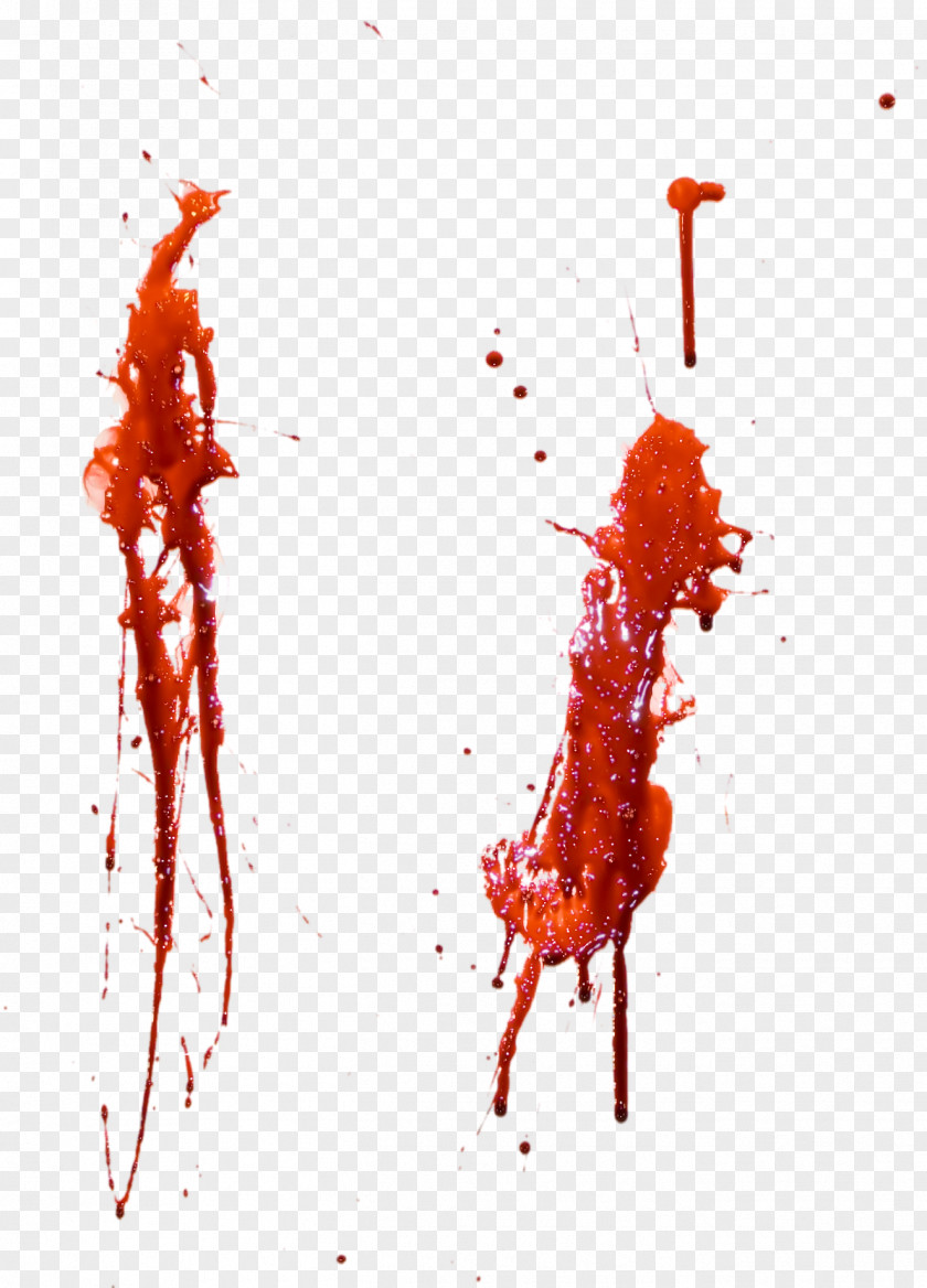 Bloodhd Download PNG