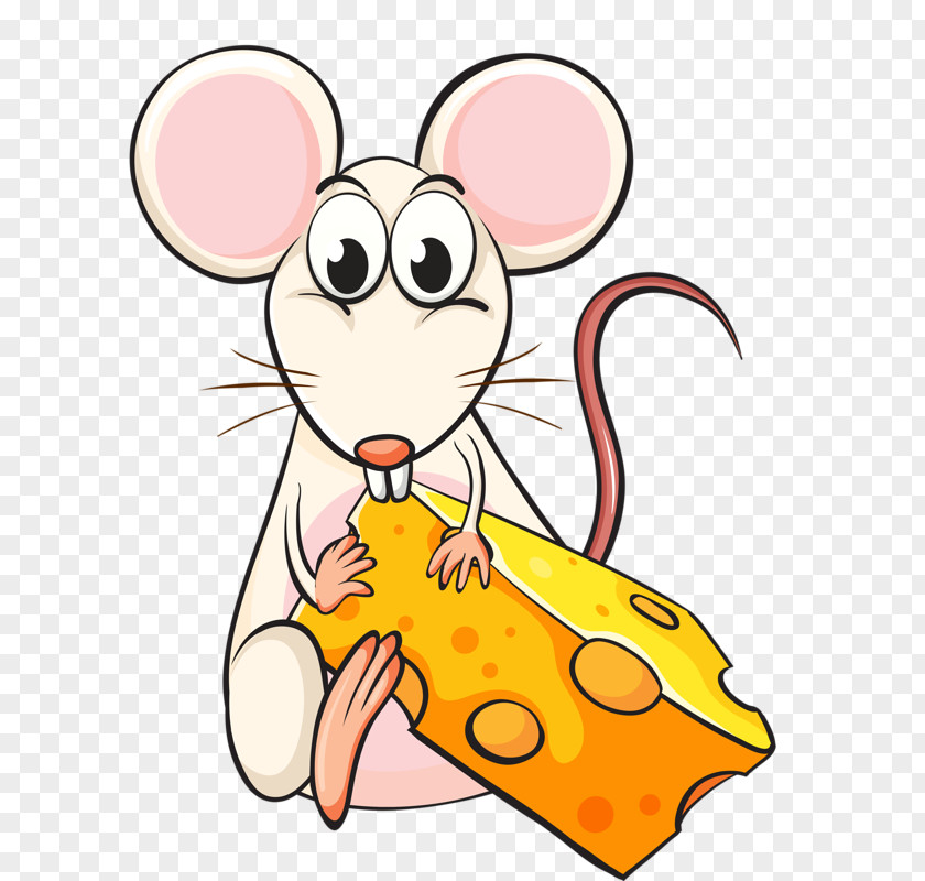 Cheese-eating Rat Mouse Cartoon Illustration PNG