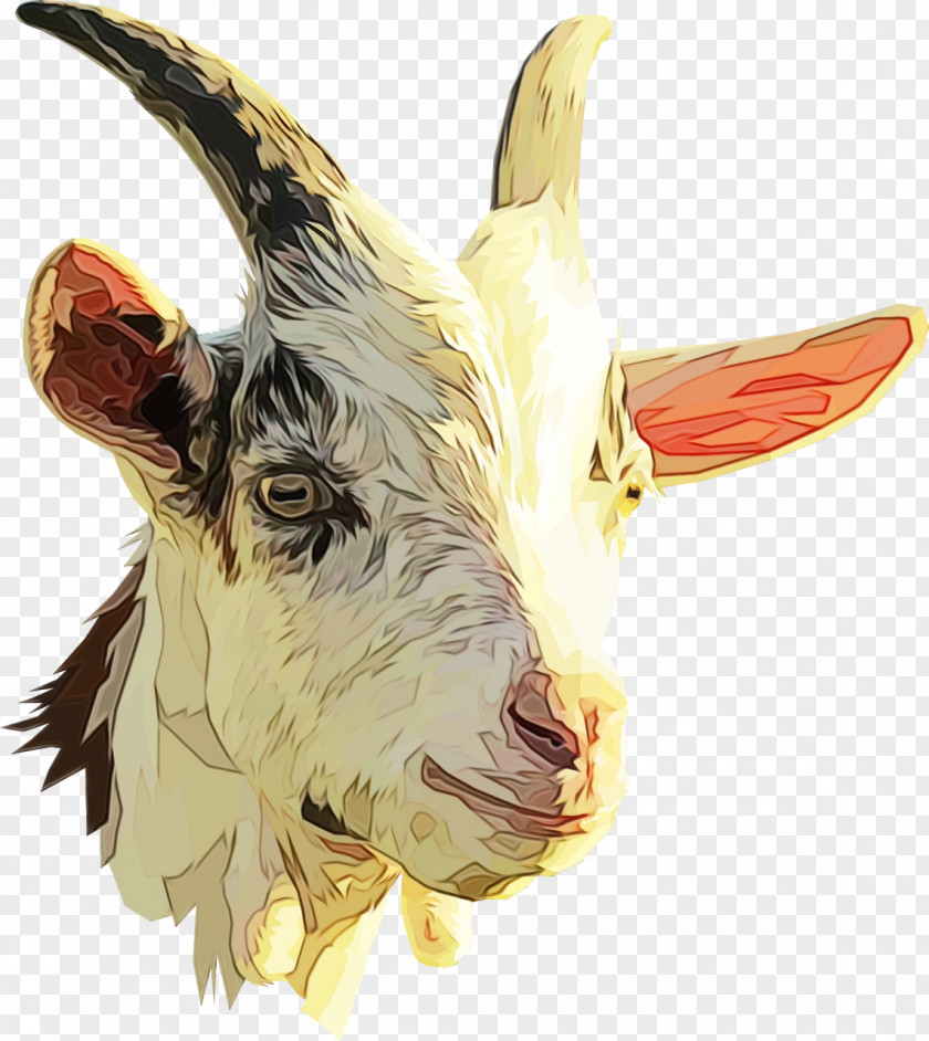 Clip Art Nigerian Dwarf Goat Sheep Boer PNG