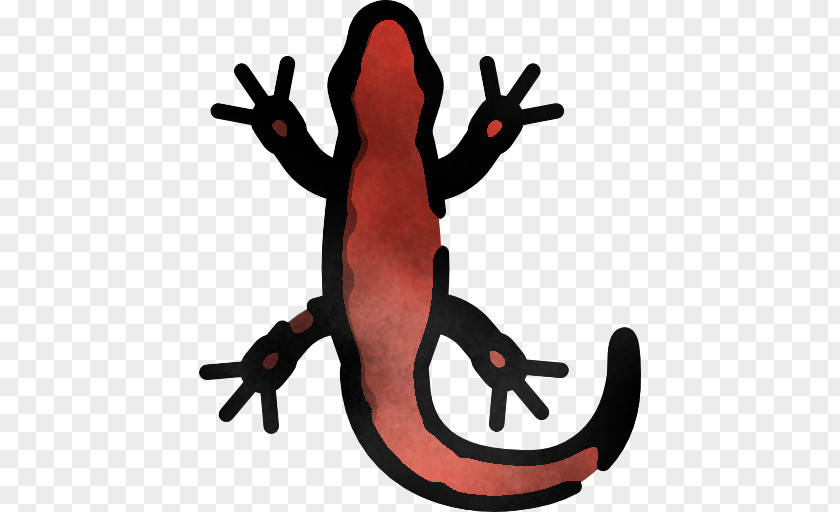 Gecko Frog True Salamanders And Newts PNG