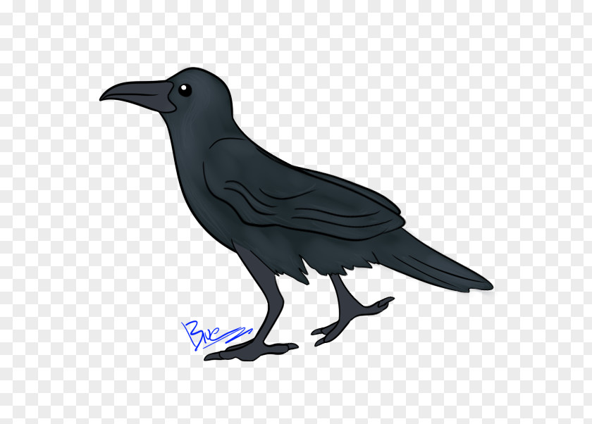 I Am Crow American New Caledonian Common Raven Fauna PNG