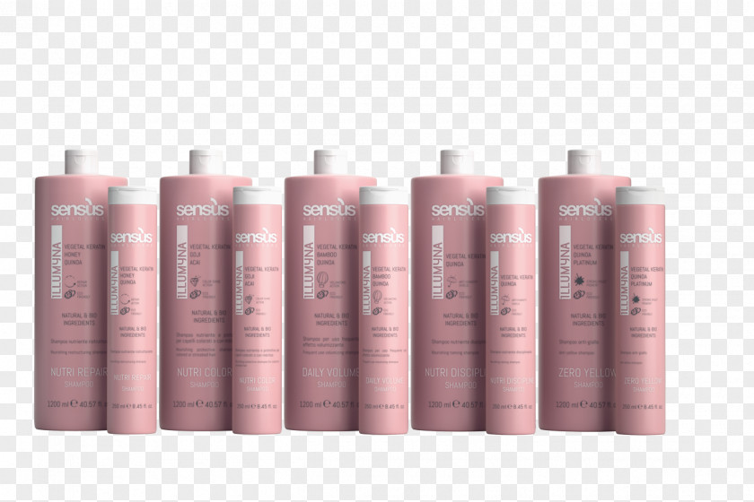 Shampoo Capelli Hair Scalp Cosmetics PNG