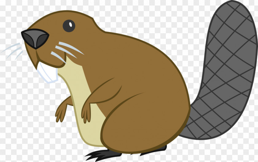 Beaver Rodent Mouse Rat Hare PNG