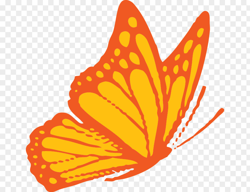 Butterfly Monarch Brush-footed Butterflies Food Clip Art PNG