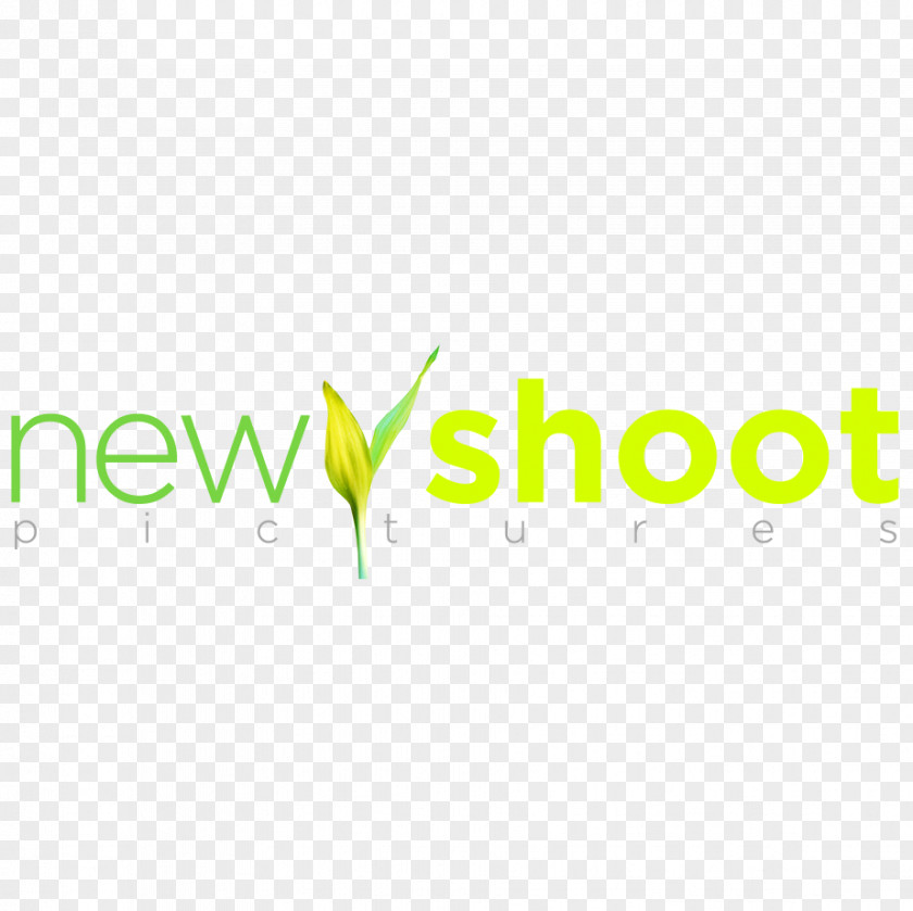 Design Logo Brand Green Font PNG