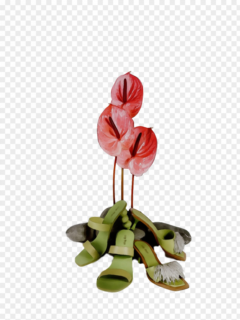 Floral Design PNG