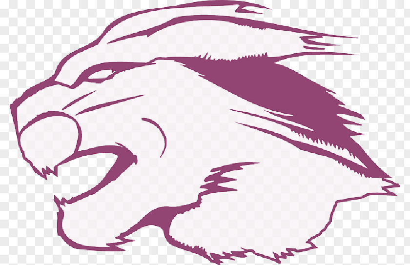 Fur Cougar Clip Art Drawing Image Vector Graphics PNG