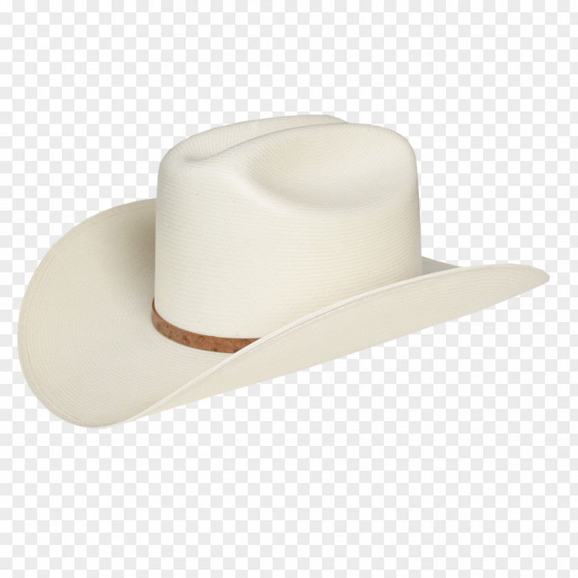 Hat Cowboy Stetson Wool PNG