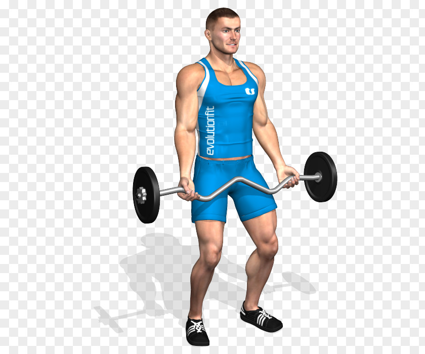 Barbell Weight Training Biceps Curl Dumbbell Squat PNG