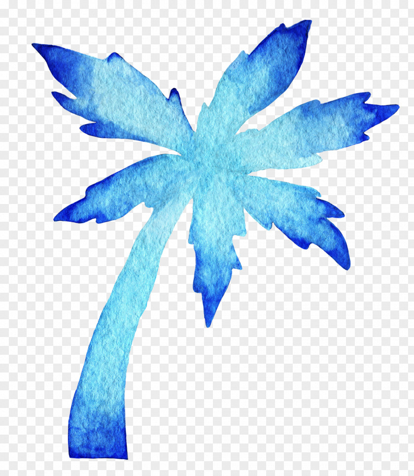 Blue Coconut Tree Watercolor Painting Drawing PNG