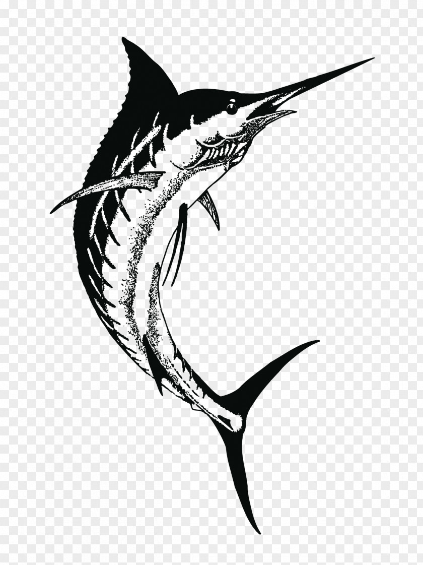 Fish Swordfish Drawing Greater Amberjack Clip Art PNG
