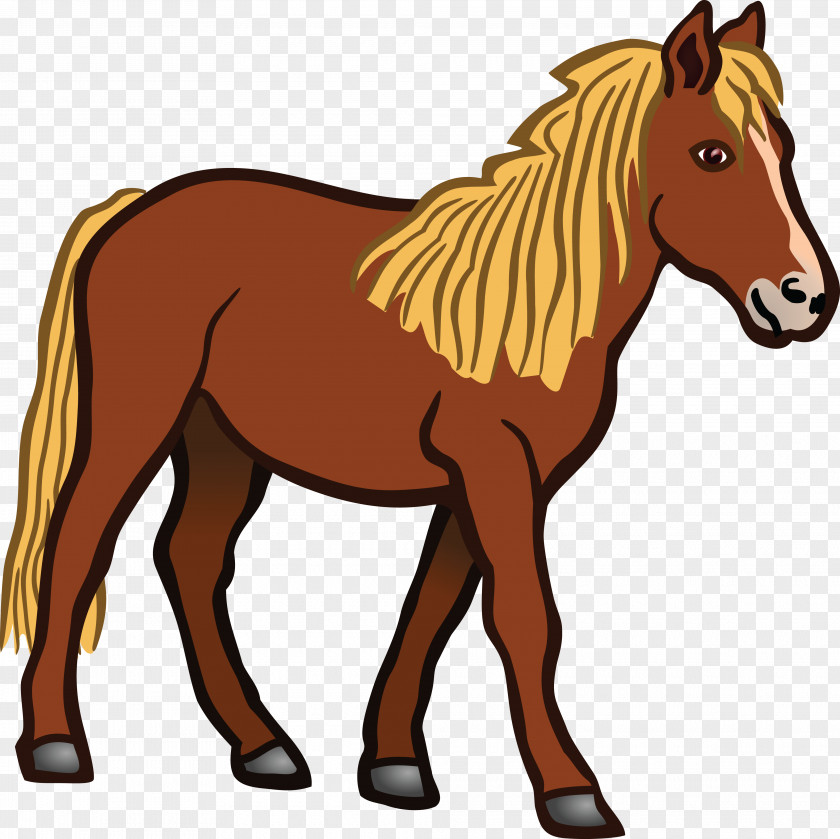 Horse Riding Tennessee Walking Foal Clip Art PNG