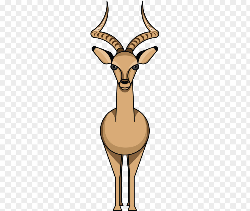 Impala Antelope Deer Animal Zoo PNG