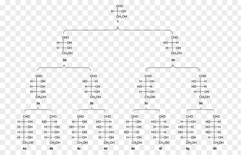 Kiliani–Fischer Synthesis Fischer Projection Lyxose Threose Aldonic Acid PNG