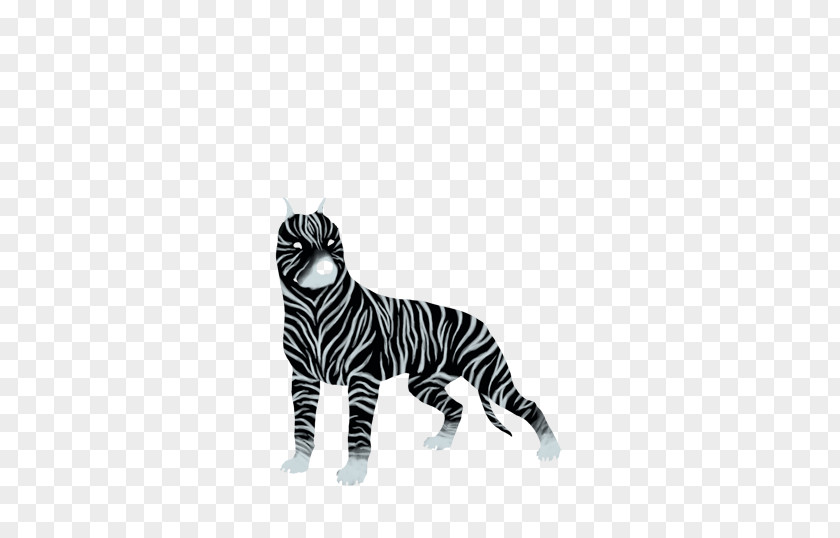 Tiger Cat Whiskers Zebra Terrestrial Animal PNG