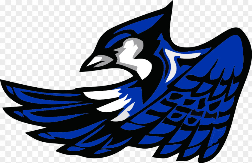 Blue Jay Toronto Jays Snook I.S.D Johns Hopkins University National Secondary School PNG