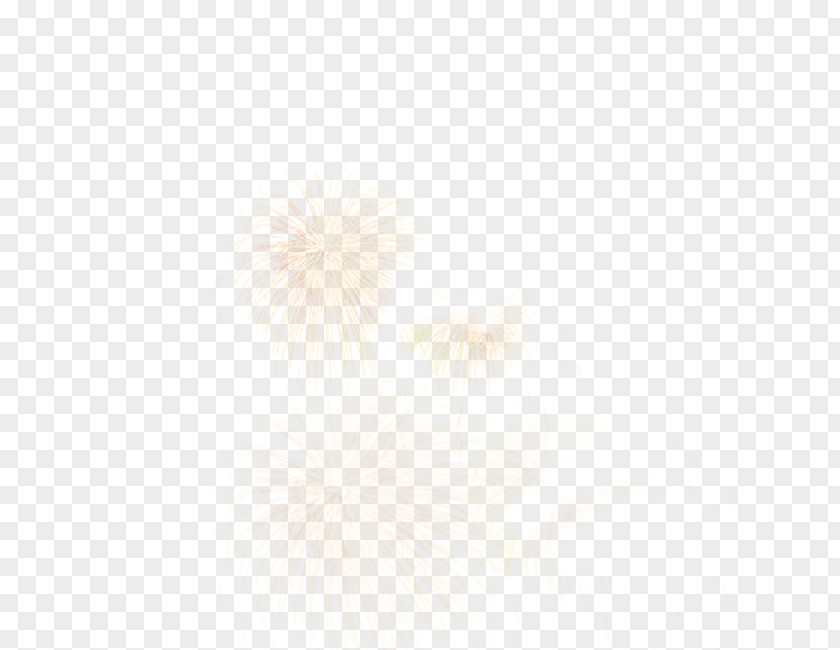 Fireworks Angle Pattern PNG