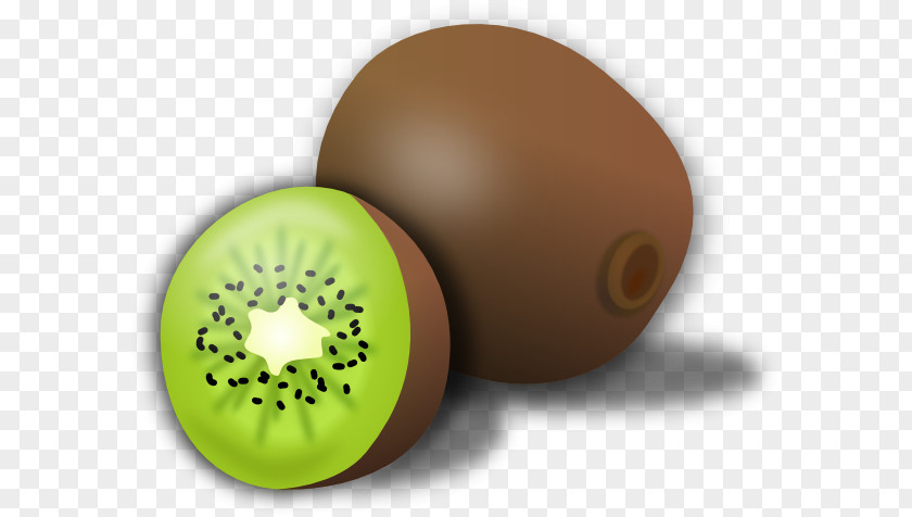 Kiwi Cliparts Kiwifruit Clip Art PNG