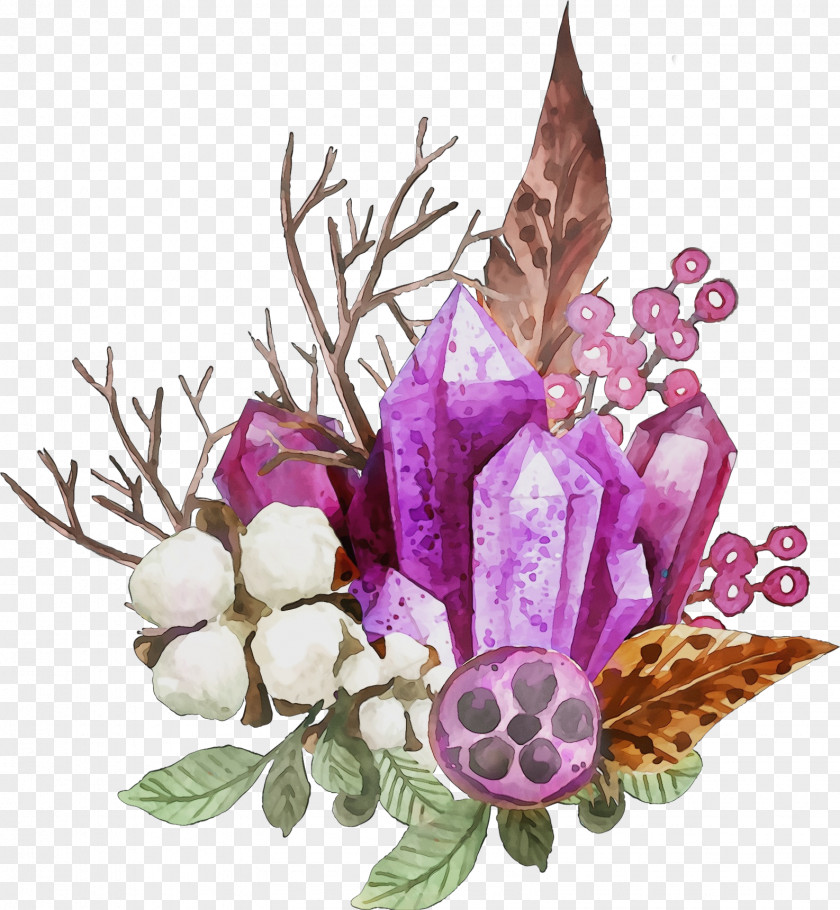 Magnolia Branch Flower Purple Plant Violet Petal PNG