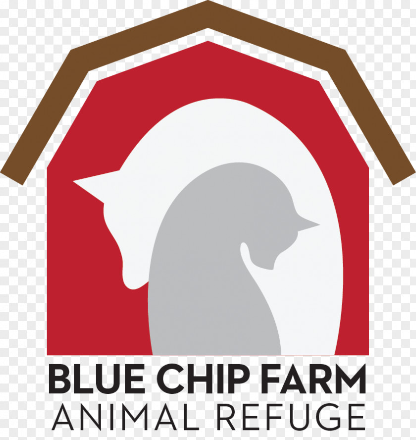 Rescue Dog Blue Chip Farm Animal Refuge Group Shelter PNG
