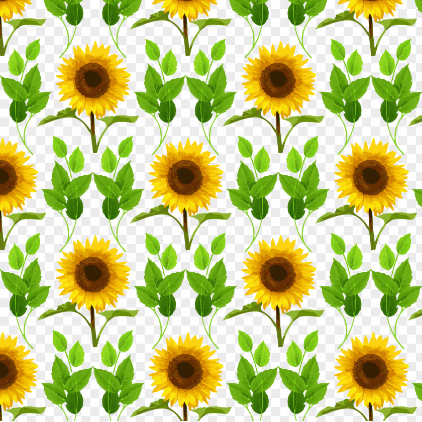 Vector Sunflower Common Mother's Day PNG