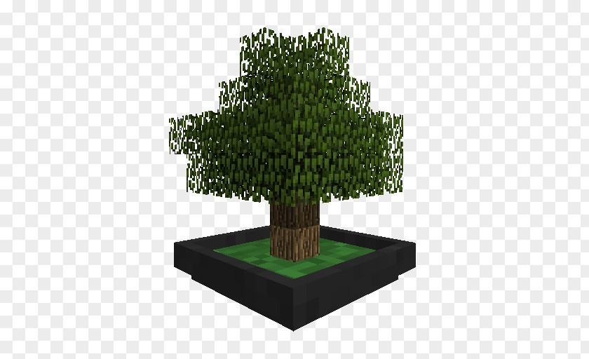 Bonsai Ficus Minecraft Mods Tree PNG