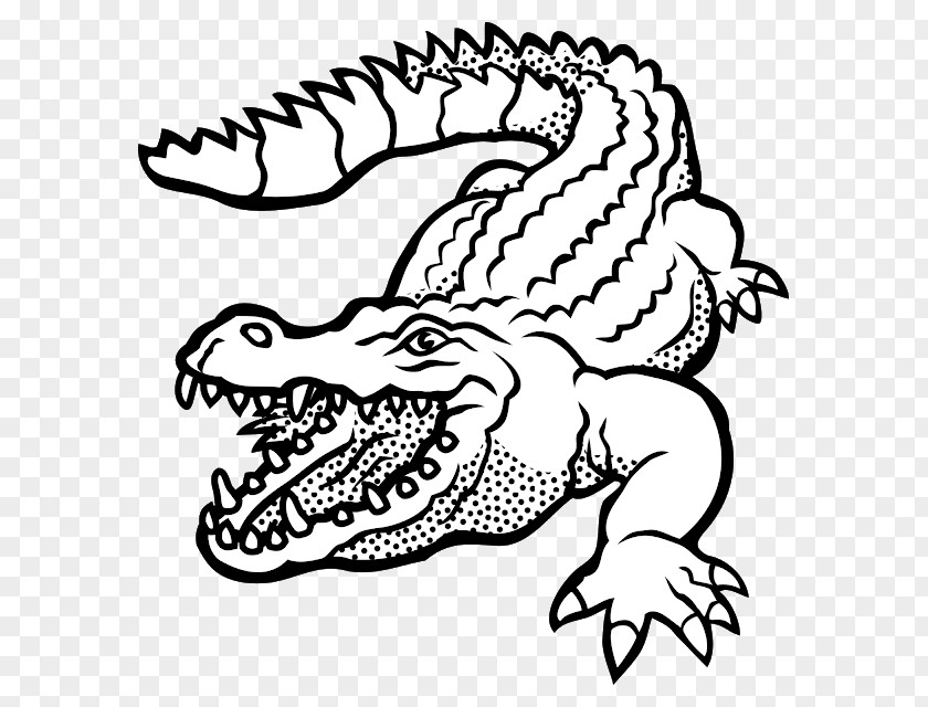 Crocodile Alligators Clip Art Vector Graphics Illustration PNG
