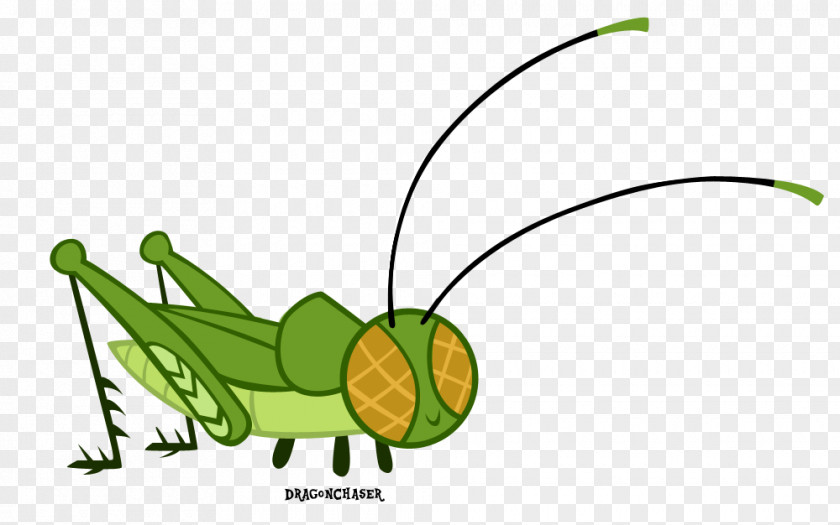 Grasshopper Insect Art Butterfly PNG
