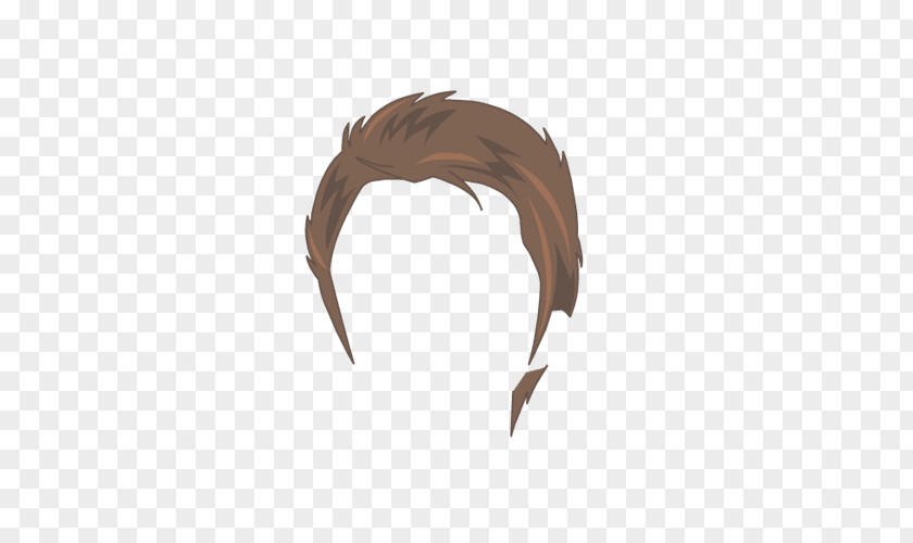 Luca Modric Product Design Beak Hair PNG